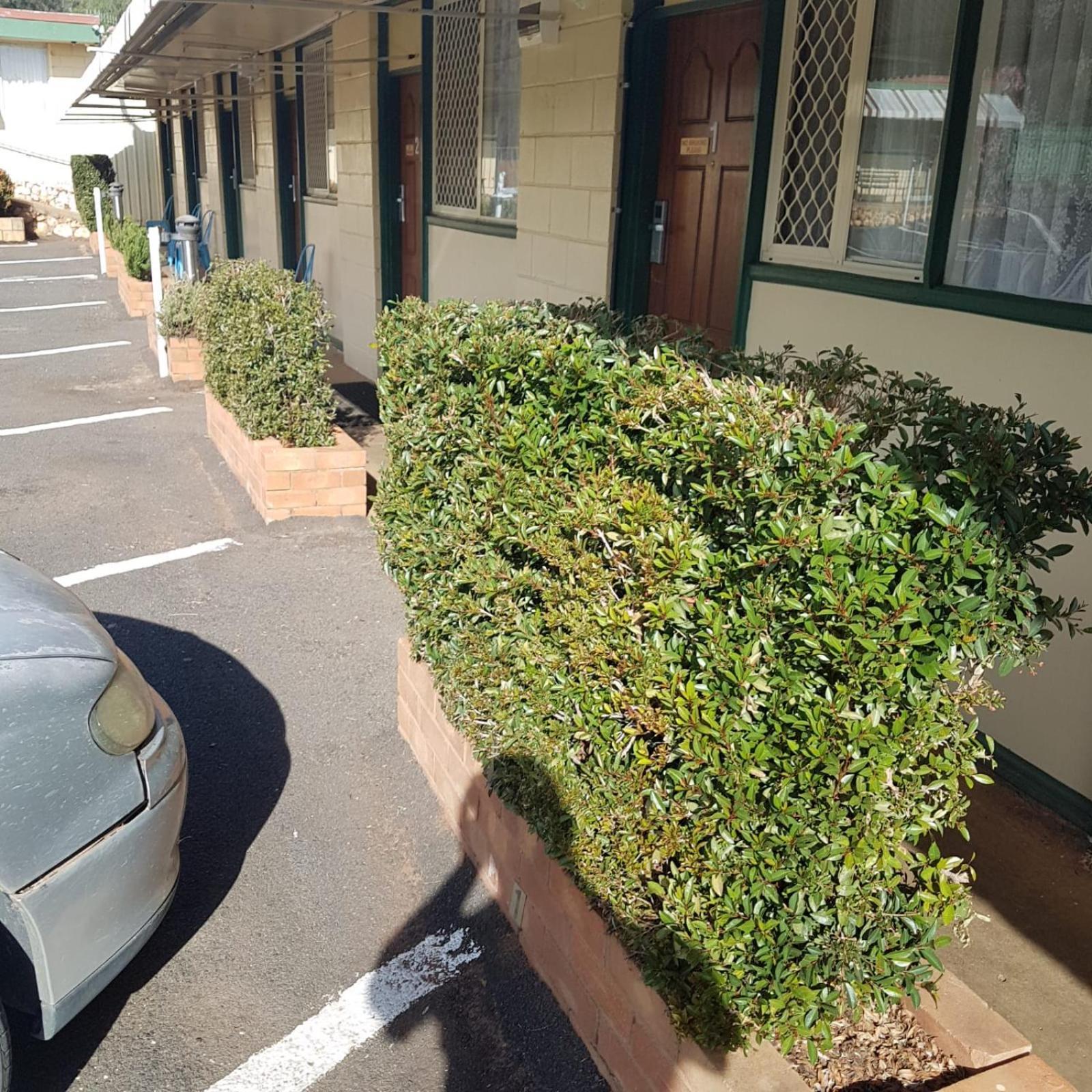 Golden Peak Motel Peakhill Peak Hill 외부 사진