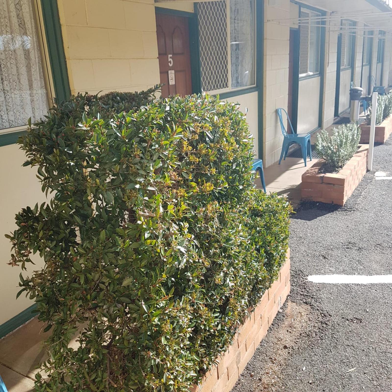 Golden Peak Motel Peakhill Peak Hill 외부 사진